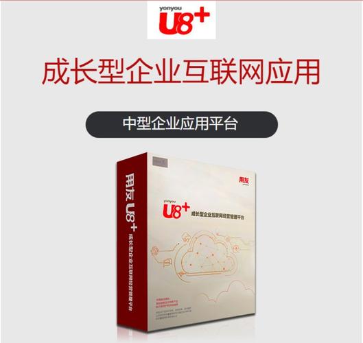 00企业管理软件erp产品,图片仅供参考,德州用友软件,德州财务软件u8